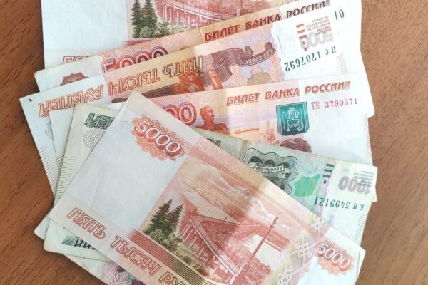 В качестве эксперимента: с 2026 года самозанятые могут застраховать себя в Соцфонде