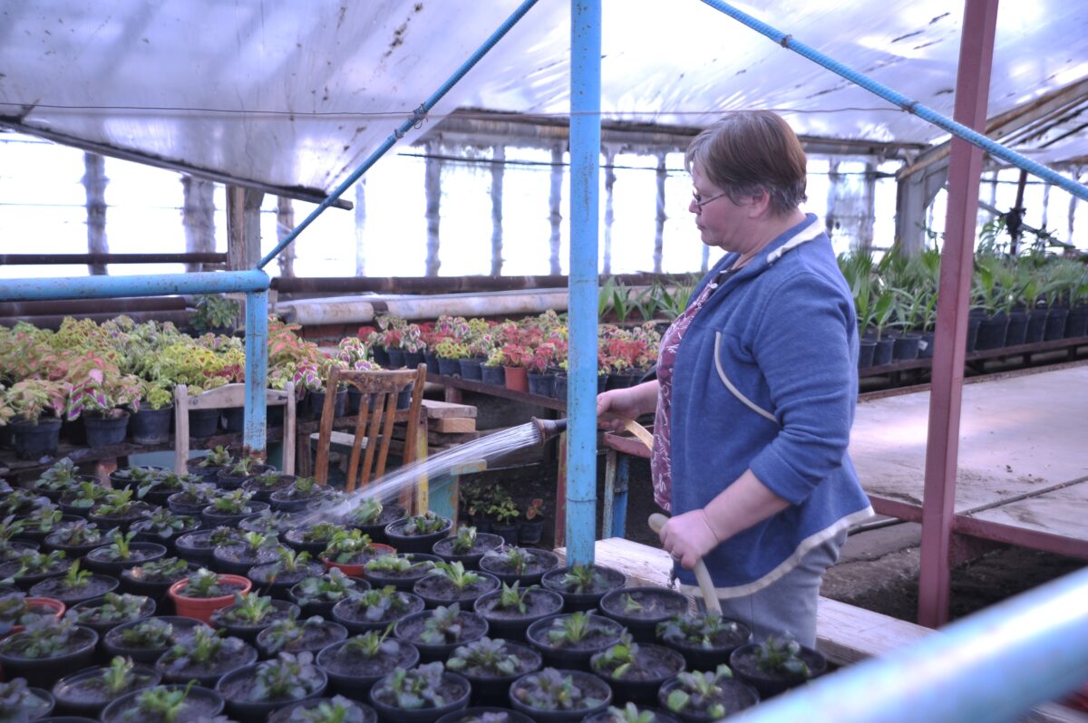 Цветочные феи на своем посту