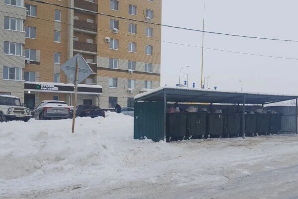 Почти тысячу площадок для сбора ТКО расчистила служба горхоза в Тамбове в феврале