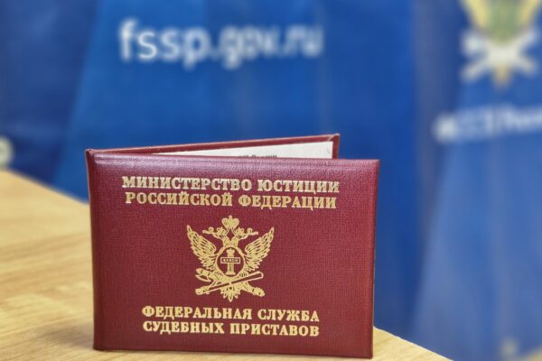 Судебные приставы взыскали с тамбовчанки 89 штрафов ГАИ