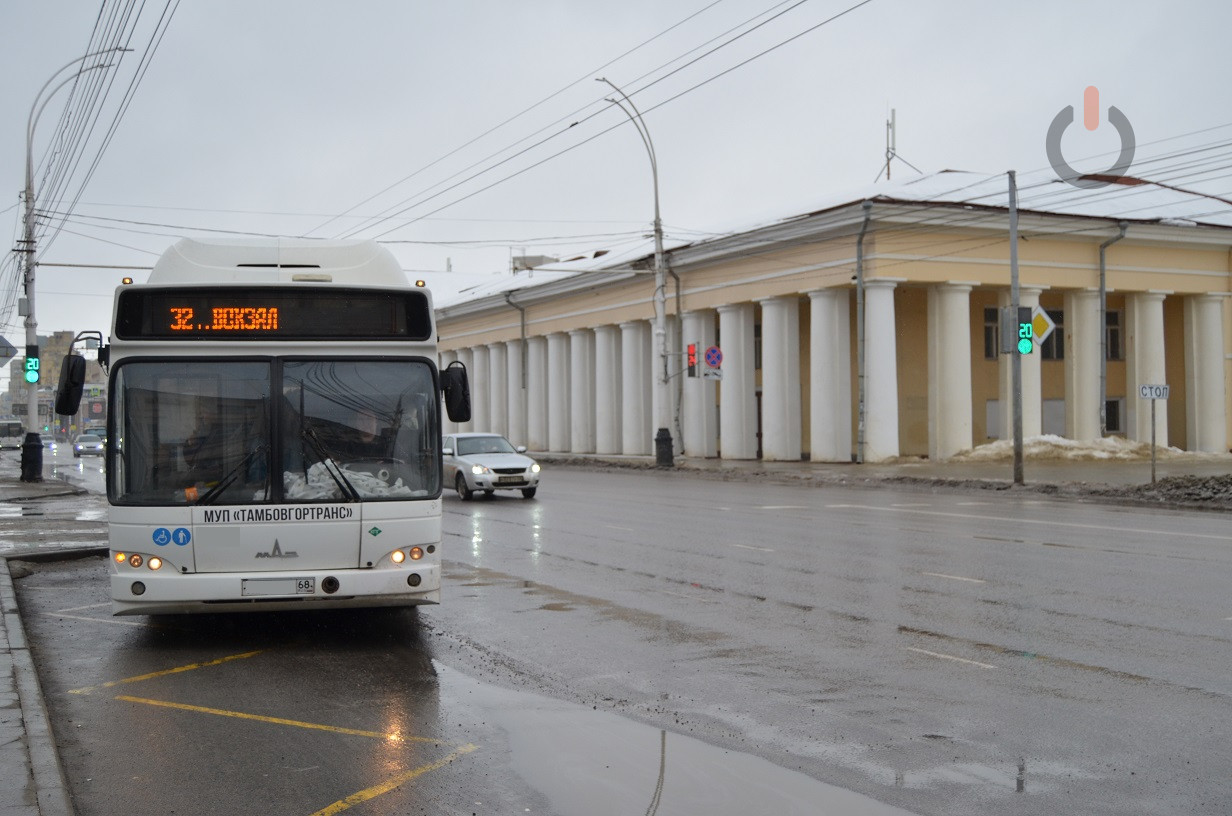 Знакомьтесь: тамбовчанки с правами категории D