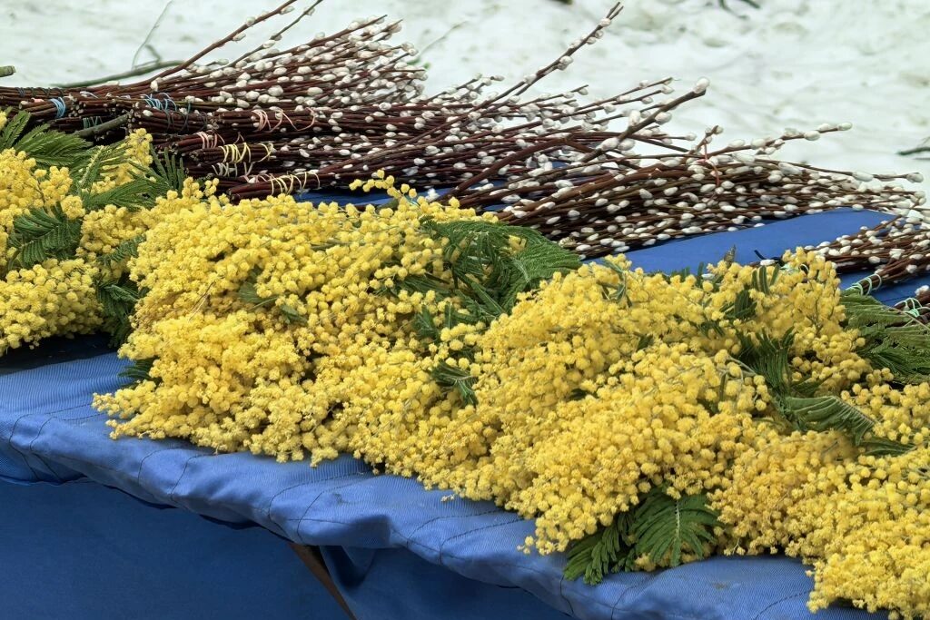 День, с которым в мир приходит весна