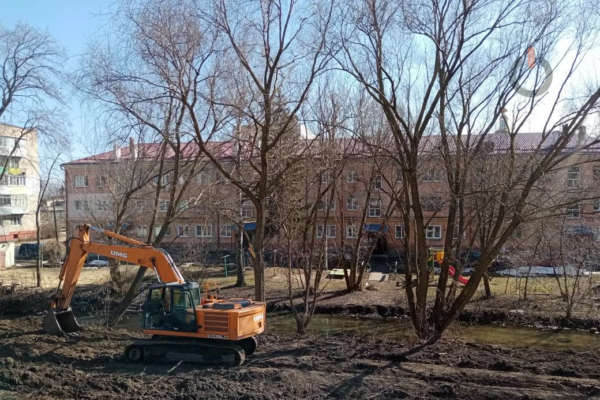 Все деревья с подмытыми корнями на Студенце в Тамбове удалят