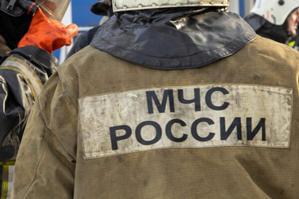 Тамбовчане получили шесть штрафов за палы травы на прошедшей неделе