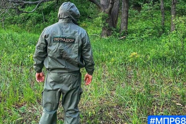 Стали известны даты весеннего сезона охоты на пернатую дичь в Тамбовской области