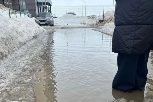 Управляющую компанию в Тамбове привлекут к ответственности за затопленный двор