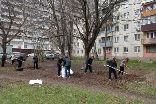 Марафон добрососедства объединит тамбовчан в мае для уборки дворов