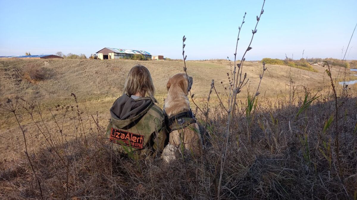 Четвероногие друзья активно помогают в поисках