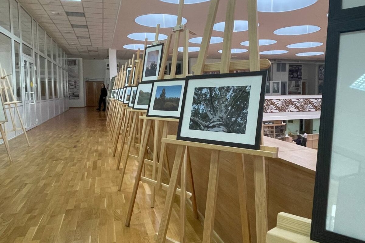 Выставка фоторабот Дмитрия Хордыкова