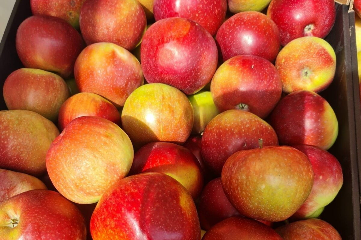 Фото из личного архива Ирины Лаврушкиной