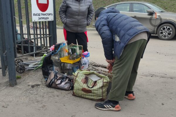 В Тамбове перед Благовещением торговцы птицами могут получить до 8 лет лишения свободы