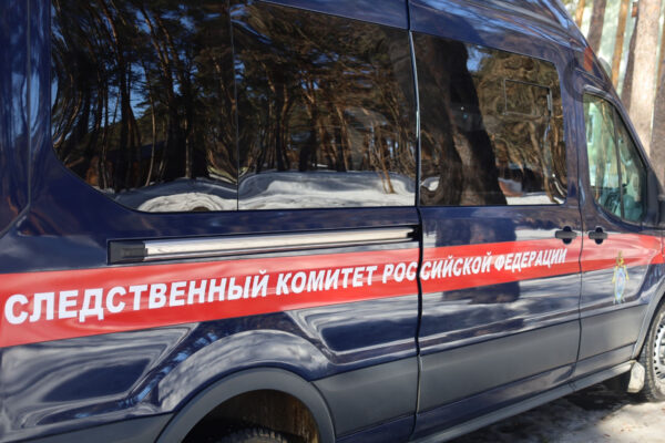 Тамбовские полицейские задержали женщину, которая три месяца обкрадывала магазины