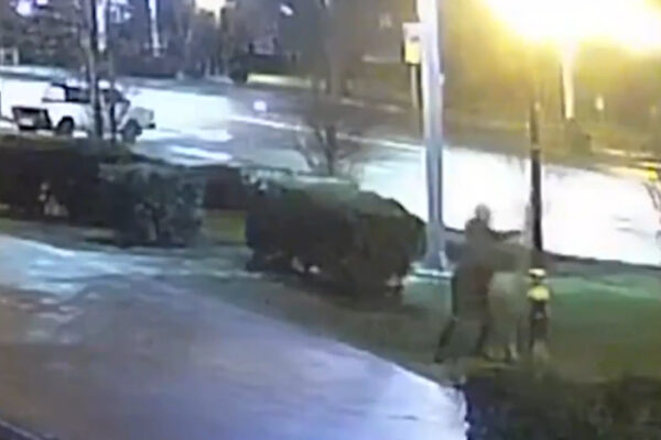 Полицейские установили личность похитительницы пяти тополей в центре Тамбова
