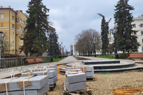 В Тамбове на Державинской взамен старых высадят 24 новые ели