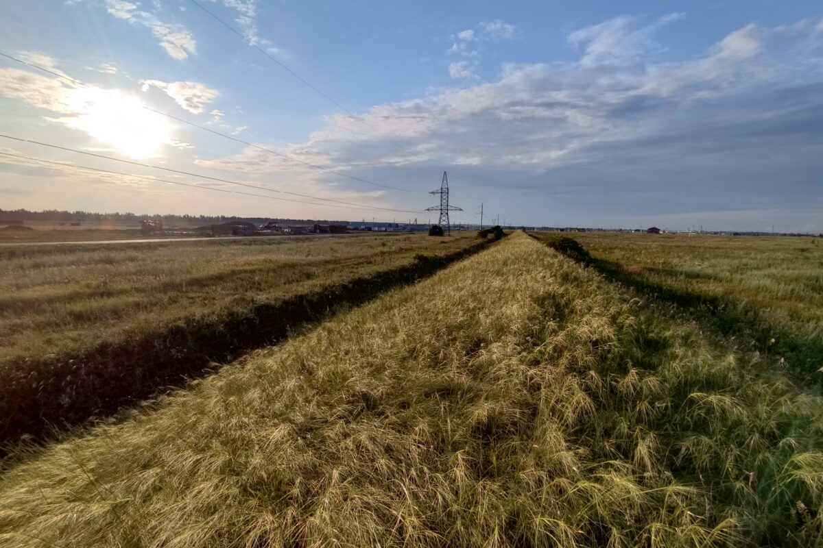 Татарский вал. Фото "Тамбовского земства"
