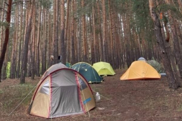 В Тамбовской области 5 проектов получили субсидии на покупку туристического оборудования