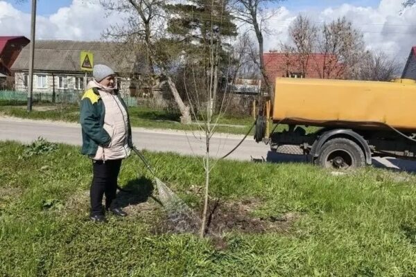 В Тамбове посадят больше тысячи деревьев этой весной