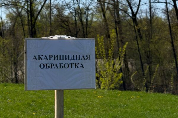 В Тамбовской области число обращений из‑за укусов клещей снизилось в 1,8 раза