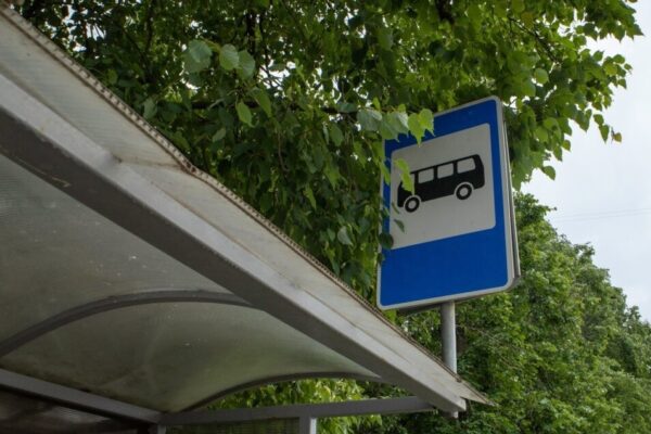 В Тамбове начал работать сезонный автобус по маршруту «Рылеева – Дубки»