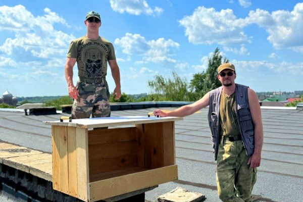 С крыши Мичуринского ГАУ будут выпускать сапсанов: редкий вид возвращается в Черноземье