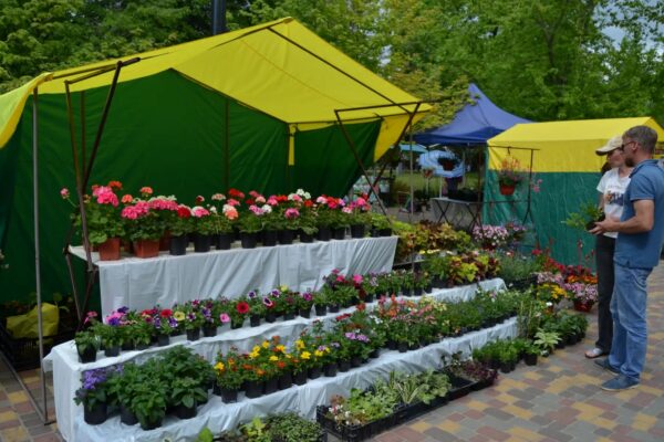Более 130 садоводов страны представили свою продукцию на фестивале цветов в Тамбове