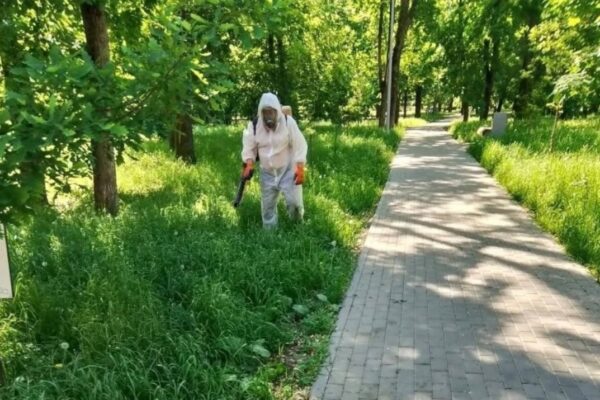 Тамбовчанам рекомендуют не посещать Пионерский парк и Ахлебиновскую рощу