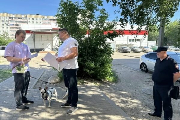 В Тамбове проверили, как владельцы соблюдают правила содержания питомцев