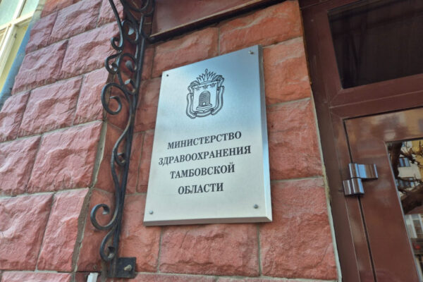 Тамбовский минздрав начал проверку после гибели ребенка в ДТП вблизи больницы