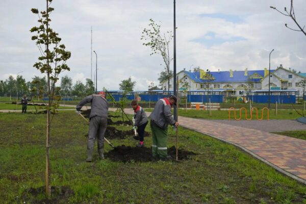 В новом сквере в Майском на севере Тамбова высадили 130 лип