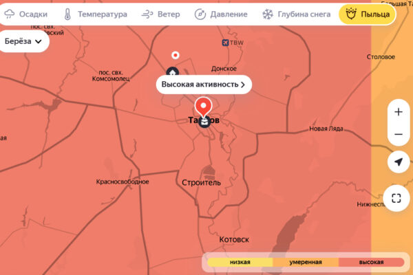 В Тамбове зафиксирована рекордная концентрация пыльцы березы в воздухе