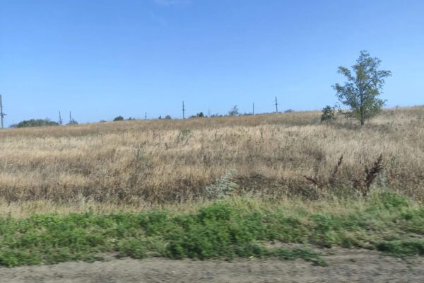Тамбовчанам рассказали, как получить межевой план на земельный участок