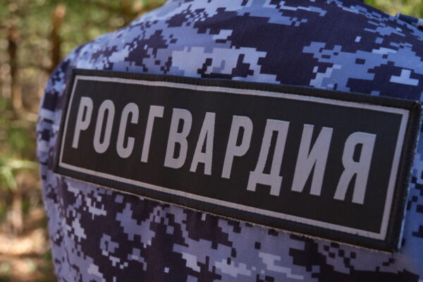 Тамбовская Росгвардия изъяла более 300 единиц огнестрела и свыше тысячи боеприпасов