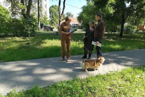 Владельцам собак напомнили, за что в Тамбове можно получить штраф