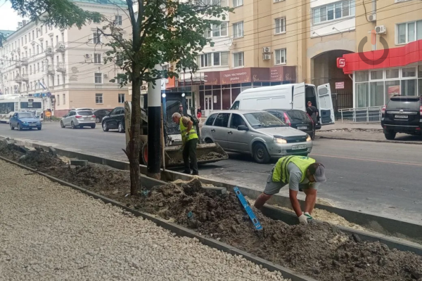 Новый уклон дорожного полотна на Чичканова в Тамбове решит проблему подтоплений