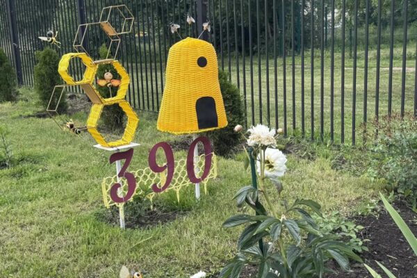 В Тамбове среди ста цветников и клумб выбирают лучшие