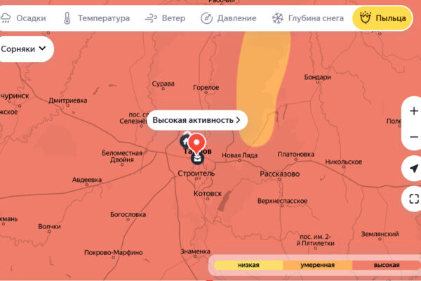 Мониторинг зафиксировал рекордную концентрацию пыльцы сорняков в воздухе Тамбова