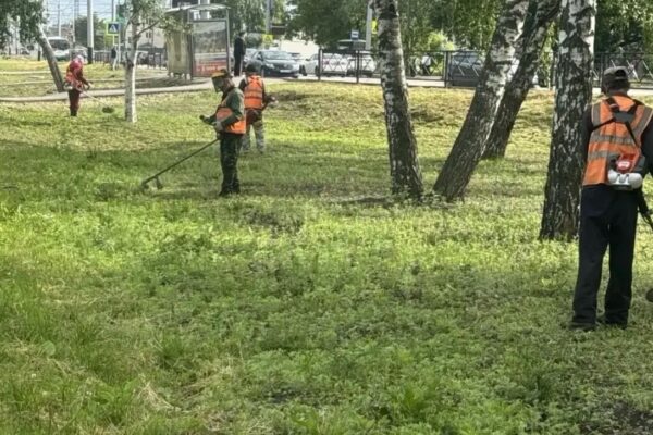В Тамбове покосили более 150 гектаров травы с начала мая