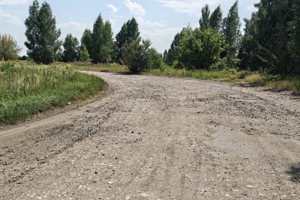 Глава Притамбовья поручил заасфальтировать «картами» участок дороги в Чистые пруды