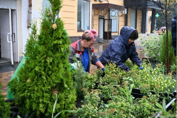 В парках и скверах Тамбова приводят в порядок цветники