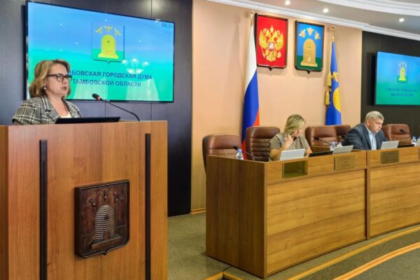 Депутаты Тамбовской гордумы предлагают разработать чек-лист инициативного бюджетирования