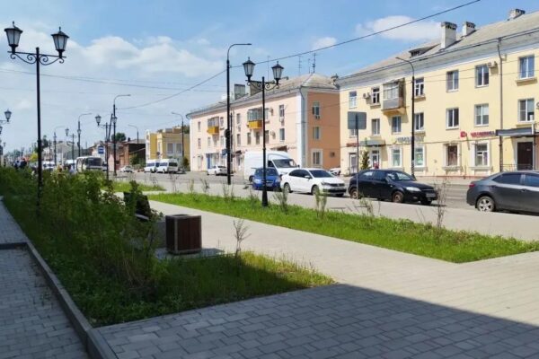 С улиц Тамбова уберут более 130 незаконно установленных ларьков и павильонов