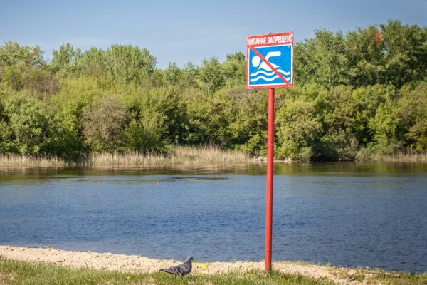 В Тамбове не рекомендуют купаться на трех пляжах из-за качества воды