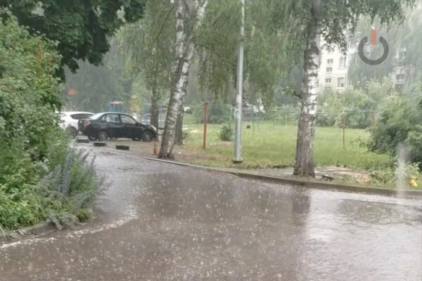 В ближайшие три часа в Тамбове возможен дождь с грозой