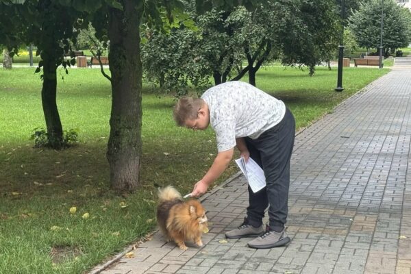 В Тамбове проверили владельцев собак на соблюдение правил выгула животных