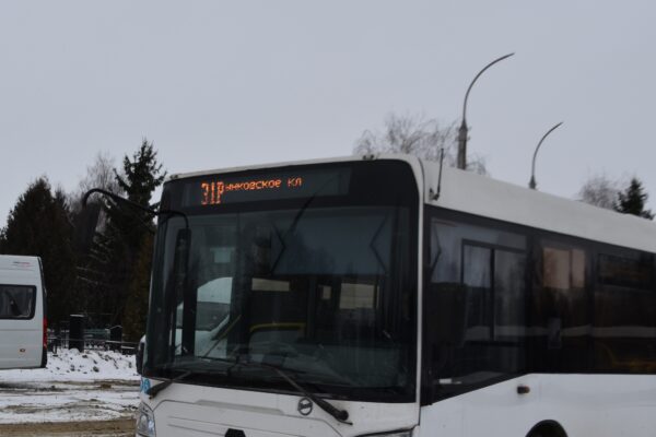 В Тамбове частный перевозчик на треть увеличил число автобусов на 31‑м маршруте