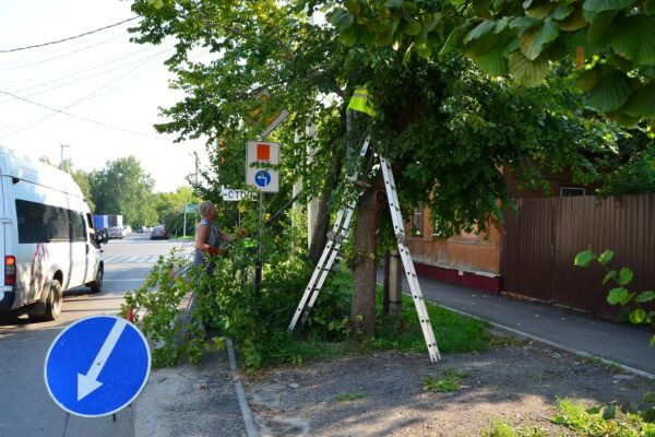 В Тамбове завершают подготовку дорожной инфраструктуры к учебному году