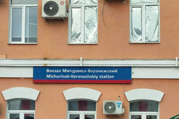 Обязательный досмотр пассажиров введут с 1 сентября на вокзале Мичуринск‑Воронежский
