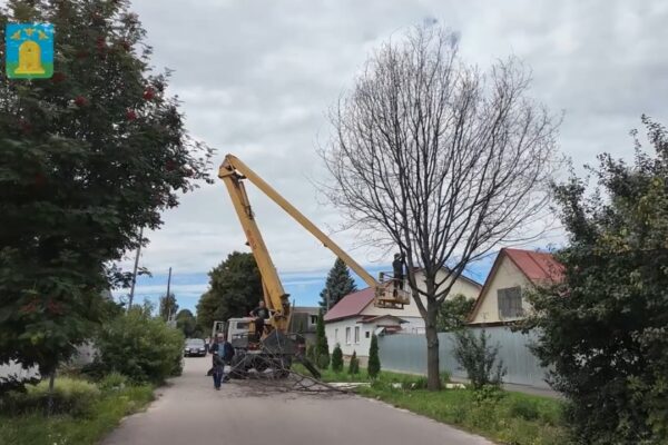 В Тамбове по просьбе жителей удалят 11 аварийных деревьев на Социалистической