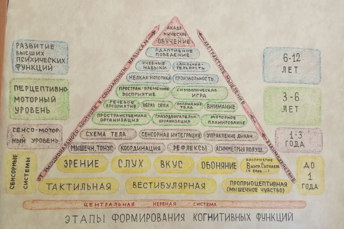 Этапы психологического взросления