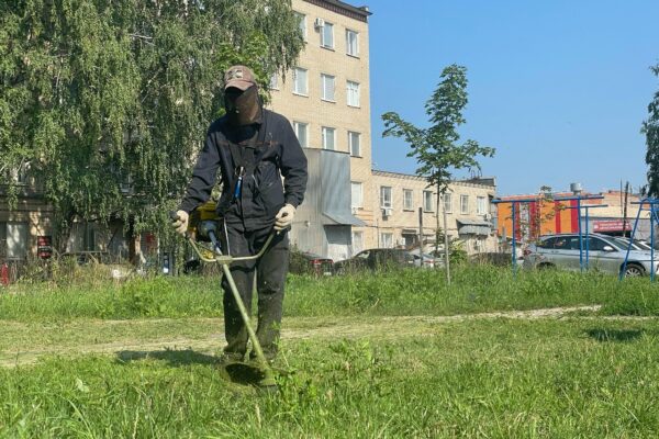 С начала покоса в этом году управляющим компаниям выдали 138 предписаний за нарушения